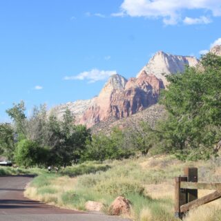 Greetings from Zion ⛰️🥾 Atid is having a wonderful time exploring!! #AtidTrips #Session3 #CMC