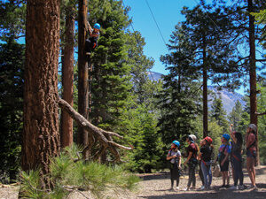 cabin climbing